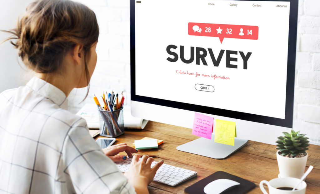 survey in market research