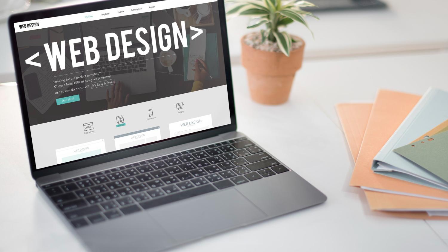 How Website Design Sunshine Coast Enhances Your Online Customer Experience?